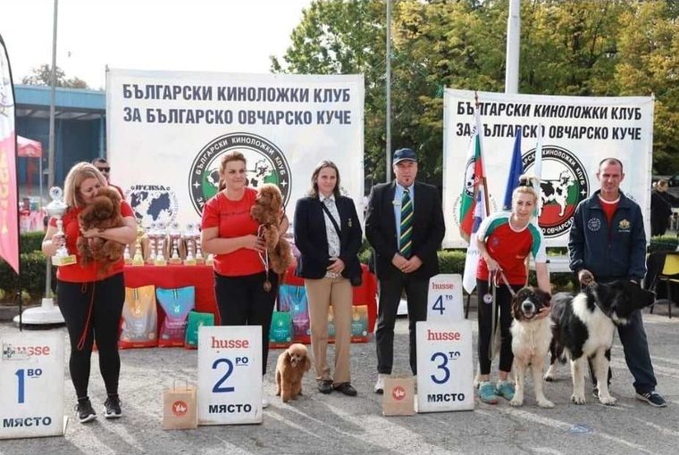 Бест развъдни двойки · БРКС